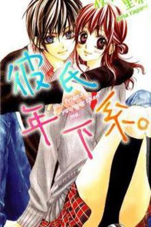 Kareshi Toshishitakei