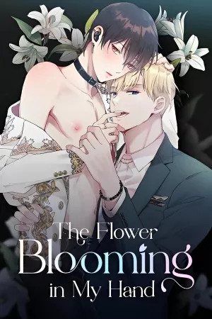 The Flower Blooming in My Hand